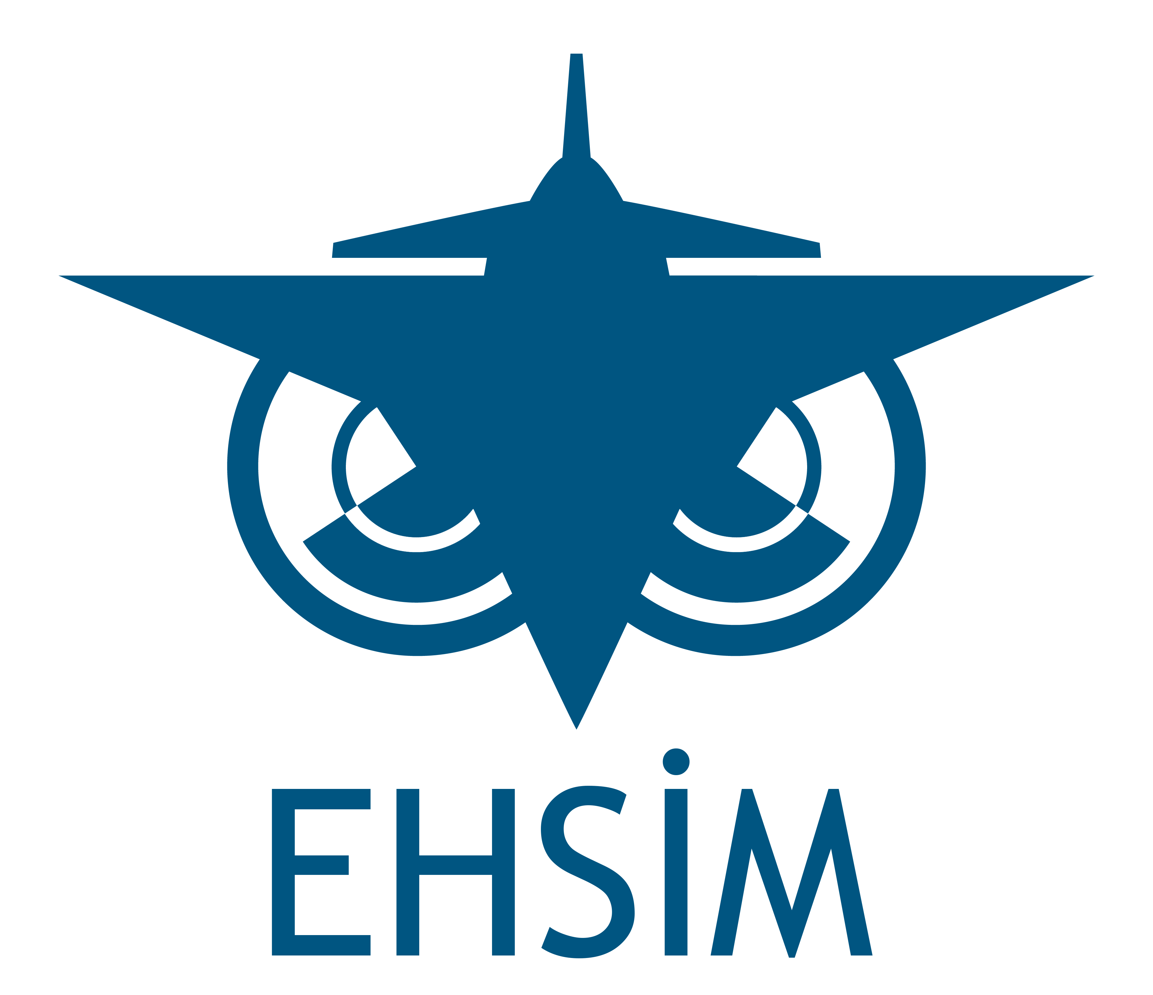EHSİM